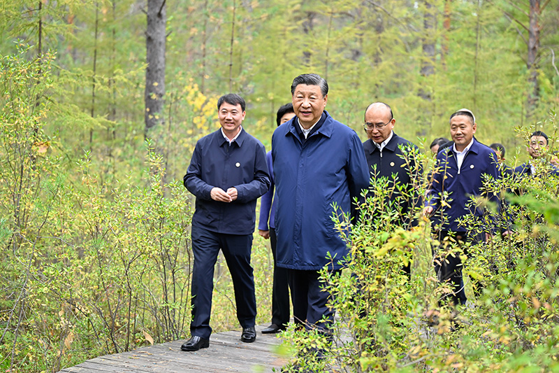 9月6日至8日，中共中央總書記、國家主席、中央軍委主席習(xí)近平在黑龍江考察。這是6日下午，習(xí)近平在大興安嶺地區(qū)漠河市漠河林場自然林區(qū)考察